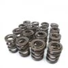 Skunk2 92-01 Prelude H-Series VTEC Alpha Valve Springs Part Number: 311-05-1360 2 Skunk2 92-01 Prelude H-Series VTEC Alpha Valve Springs Part Number: 311-05-1360 -K Series Parts Shop 311 05 1360 500x500