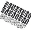 Brian Crower D16Y8/D16Z6 Single Spring And Titanium Retainer Kit Part Number: BC0070 1 Brian Crower D16Y8/D16Z6 Single Spring And Titanium Retainer Kit Part Number: BC0070 -K Series Parts Shop BC BC0070 500x375