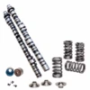 Drag Cartel K-Series 2.2 Endurance Camshafts With Supertech Spring Kit Part Number: DC-OG-002.2-SPRK 1 Drag Cartel K-Series 2.2 Endurance Camshafts With Supertech Spring Kit Part Number: DC-OG-002.2-SPRK -K Series Parts Shop DCI DC 003 2 SPRK 461x500