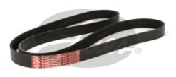 Gates 05-06 RSX Type-S Century Series Micro-V Ribbed Serpentine Belt Part Number: K070669