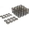 Supertech B-Series Drag Race Valve Springs With Titanium Retainers Part Number: SPRK-H200DR 2 Supertech B-Series Drag Race Valve Springs With Titanium Retainers Part Number: SPRK-H200DR -K Series Parts Shop SUP SPRINGS RETAINERS 500x500