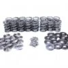Supertech K24Z7 80lb Dual Spring Valvetrain Kit Part Number: SPRK-H1005D-Z7 1 Supertech K24Z7 80lb Dual Spring Valvetrain Kit Part Number: SPRK-H1005D-Z7 -K Series Parts Shop SUP SPRK H1000D Z7 500x375